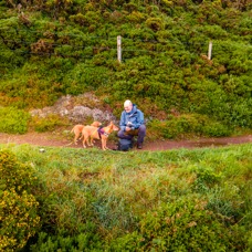 DJI_0306.jpg